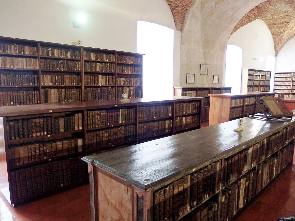 Gilded shelving in the Joanina Library, the first entry on this list