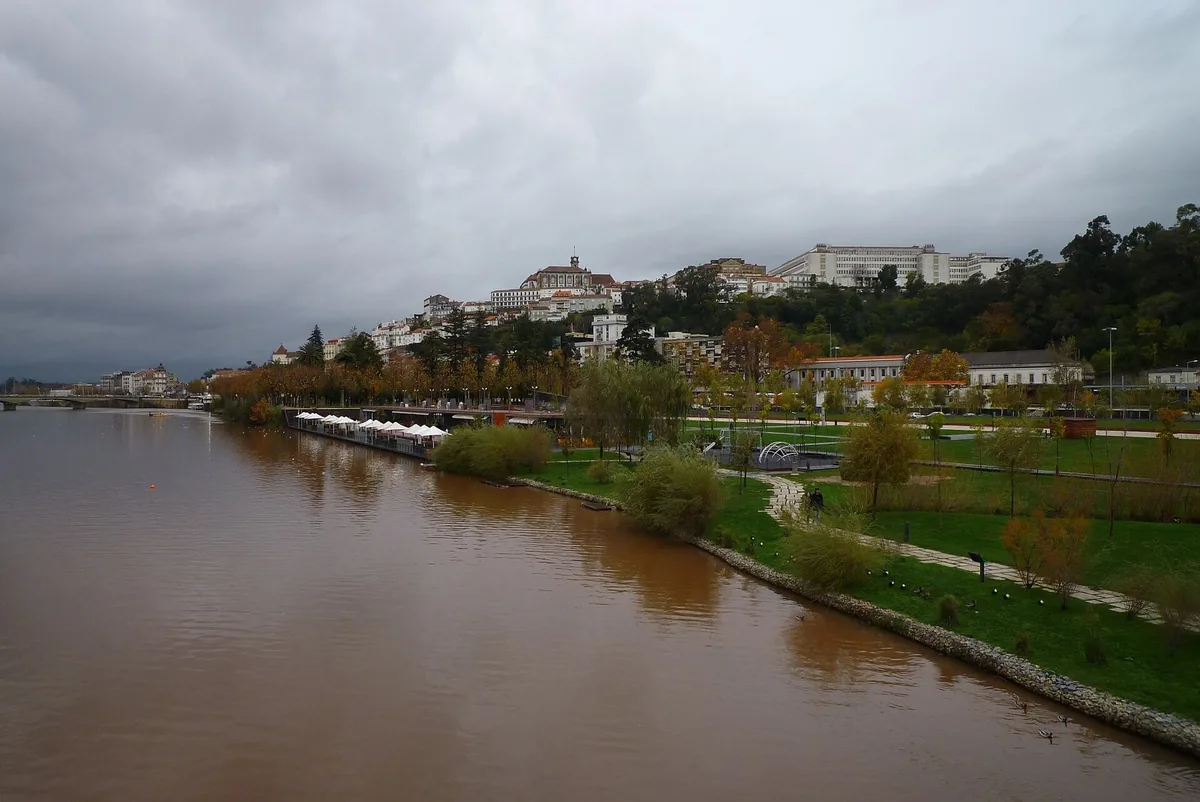 Kayaks on the Mondego river near Coimbra