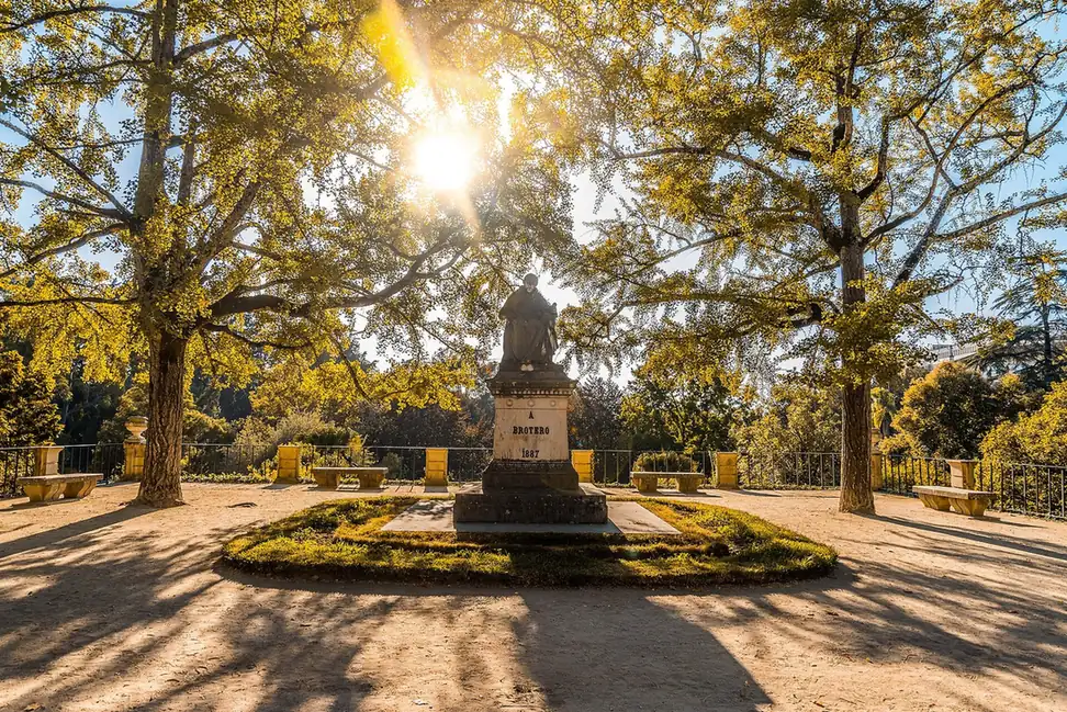 Autumn in the Botanical Garden of the University of Coimbra